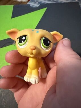 Yellow greyhound lps